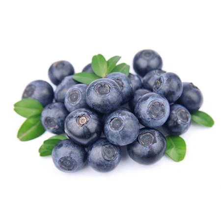 Freeze Dried Blueberry