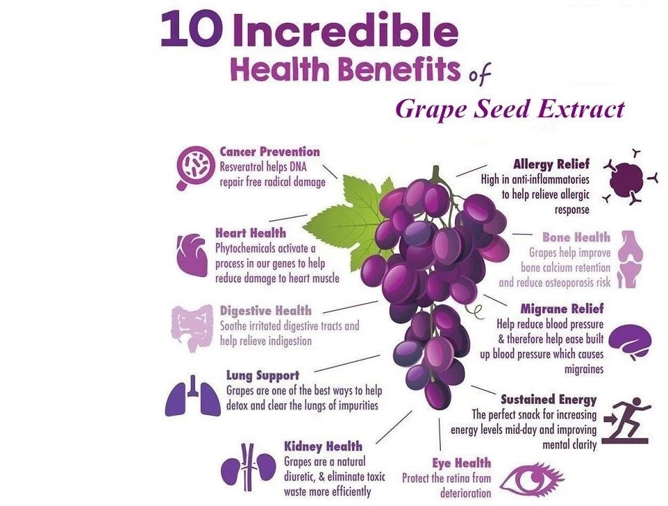 OPC grape seed extract powder