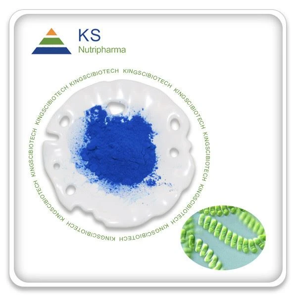Detholiad Spirulina Powdwr