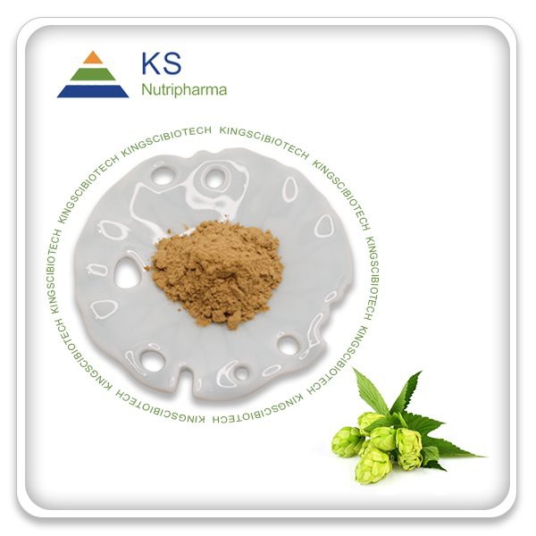 Detholiad Hops Cyfanwerthu