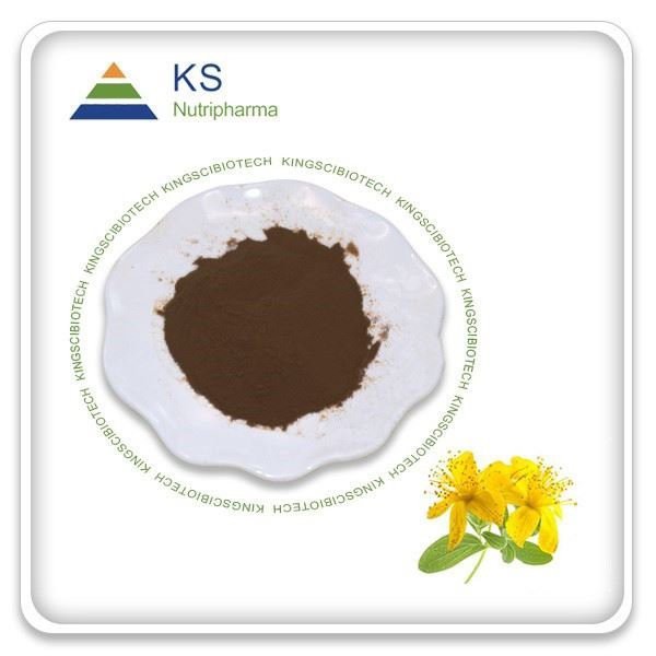 Detholiad Blodau Hypericum Perforatum