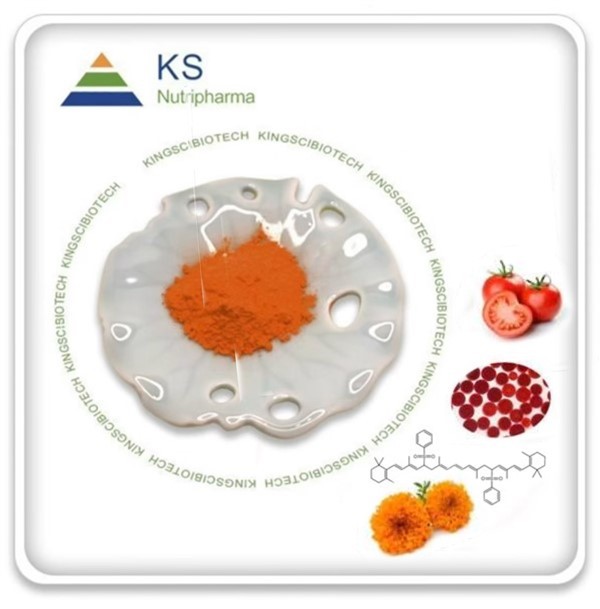 Dyfyniad gwrthocsidydd